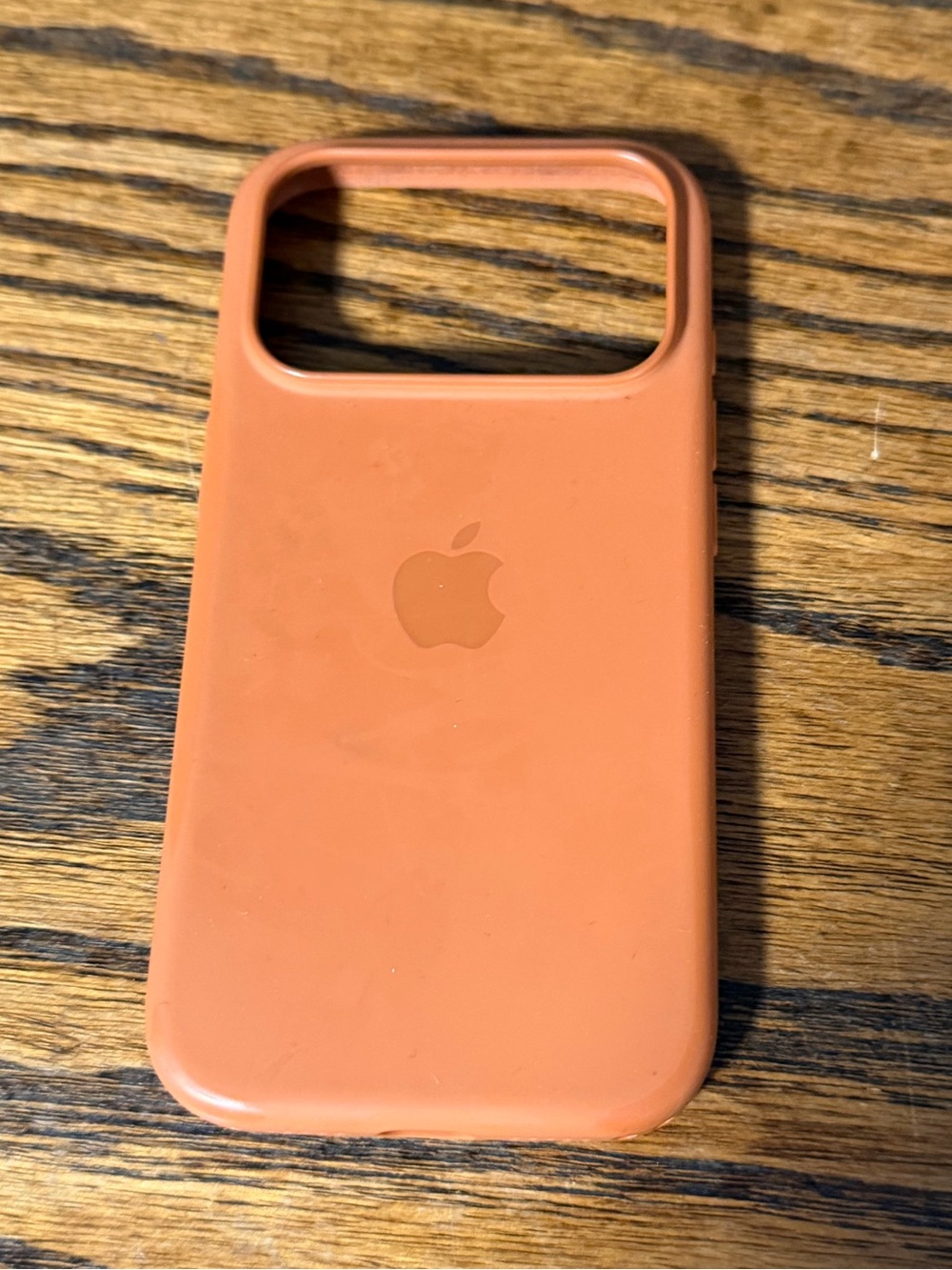 iPhone 17 pro burnt orange case